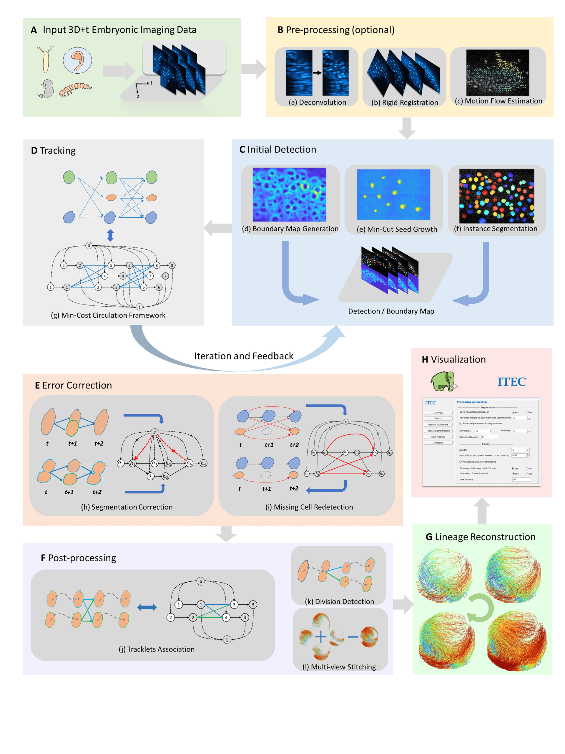ITEC whole-embryo cell tracking workflow